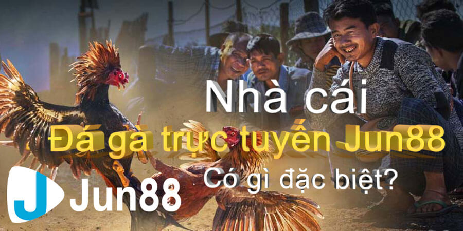 Jun88- nhà cái chơi đá gà online uy tín